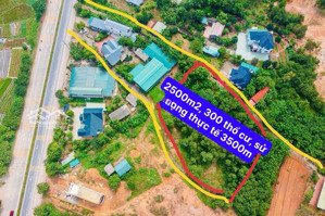 chỉnh chủ bán mảnh đất đắc địa 3500m2 tại kim long-tam dương - vĩnh phúc