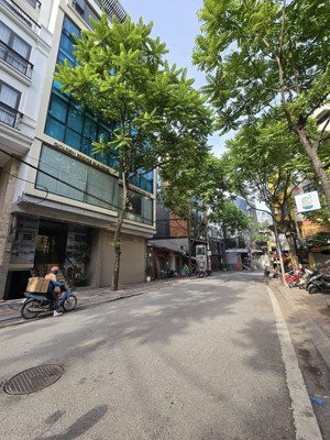bán tòa văn phòng mặt phố phan kế bính, ba đình 9 tầng, thang máy, 120m2, mt 10m, 84 tỷ