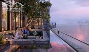 Bán căn Sky Villas 3 Tầng 242m2. Bể bơi, sân vườn, View trực Biển toà Căn Hộ cao cấp Icon40 Hạ Long.