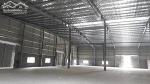 Cho Thuê Nhà Xưởng 7.000m² Tại Thuận An Bình Dương – Có Văn Phòng, Ký Túc Xá, Điện 560KVA – Giá Tốt