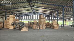 Cho thuê nhà xưởng 13.000m² ngoài KCN tại Bình Phước | Có máy móc ngành gỗ, PCCC tự động, trạm điện 1.600kVA