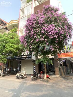 Cho thuê đoạn 2 chiều MT: 4m DT: 40m2 nhà 4 tầng phố Lê Lợi, vỉa hè rộng