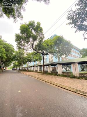  BÁN LÔ BIỆT THỰ Đường TRƯƠNG QUANG TUÂN Đối diện Trường CHUYÊN NGUYỄN DU_ Lê Vụ. 9,7 Tỷ