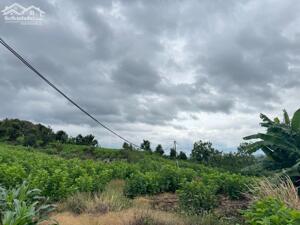 GIẢM GIÁ SỐC - ĐẤT LIÊN HÀ VIEW SÔNG MẶT ĐƯỜNG DÀI MIÊN MAN