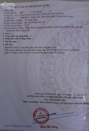 Bán lô đất đường xe hơi 6m Lý Nhơn, xã Lý Nhơn, Cần Giờ: 12,5m x 79, giá 2,6 tỷ.