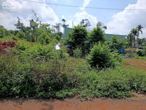 ️️CHÍNH CHỦ GỬI BÁN LÔ ĐẤT HẺM 171 NGUYỄN THÁI BÌNH, 850 TRIỆU, 5.5mx20m️