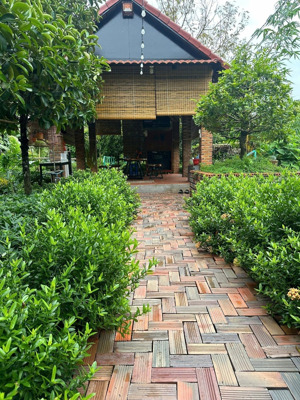 bán trang trại, khu nghỉ dưỡng giá cực chất tại mỹ khánh, phong điền, cần thơ, 4,99 tỷ, 1450m2