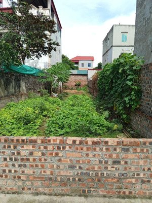 bán đất đẹp tại tằng mi, nam hồng, đông anh, hà nội, 4,7 tỷ, 58,8m2