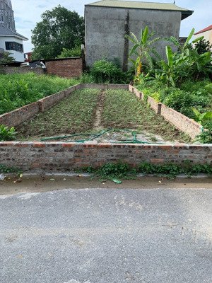 chủ cần bán gấp - chỉ cần khách thiện chí - trung tâm trâu quỳ - ngõ thông - ô tô đỗ cửa - sổ vuông