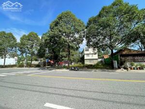 BÁN LÔ GÓC VIP NGÃ 4 KINH DOANH TP THỦ DẦU MỘT BÌNH DƯƠNG