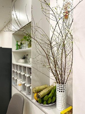 chuyển nhượng căn hộ 52.87m2 1pn+1, 1wc chcc hà đô parkside, 5.2 tỷ (bao thuế phí)