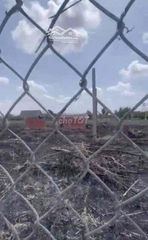 cho thuê kho, nhà xưởng tại đường 47, xã mỹ lạc, thủ thừa, long an, 5 triệu, 200 m2