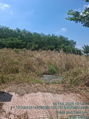 bán đất nền dự án 1,2 tỷ, 69m2 gần dự án lan anh avenue, tân uyên, bình dương