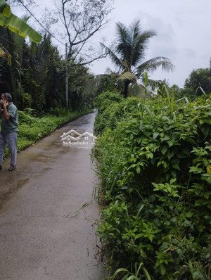 5000m2 chỉ 12tr/m2 đất mặt tiền đường số 9, p. trường thạnh, q.9, thủ đức