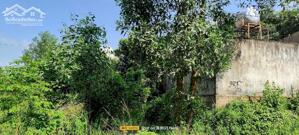 CHÍNH CHỦ CẦN BÁN GẤP LÔ ĐẤT GIÁ ĐẦU TƯ NGAY XÃ BẮC SƠN, TRẢNG BOM, ĐỒNG NAI