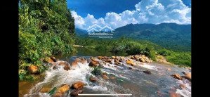 bán đất giáp suối mơ 5,6ha giá chỉ 160k/m2 ninh thượng, ninh hoà cực đẹp
