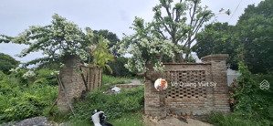 bán đất trung tâm diên khánh full thổ cư, khu dân cư sầm uất , gần đường trần phú diên khánh