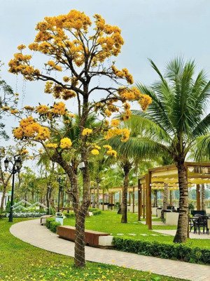 cần bán biệt thự song lập paris vinhomes imperia nội thất cao cấp, có thang máy