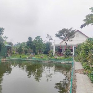 hơn 10tr/m2. bán gần 1300m2 đất (tặng biệt thự) tại đông tảo khoái châu. đường 2 ô tô tránh