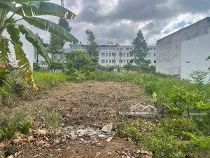 chính chủ bán nhanh lô đất thổ cư shr. mt đường đặng , văn lý , tây ninh 700triệu/120m2 .