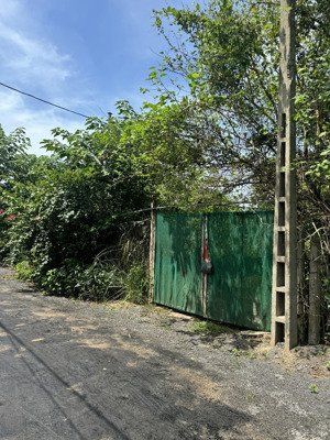 bán đất vi bằng, phố bắc cầu, 750 triệu, 430m2 ra tận mép sông hồng view đẹp, giá ưu đãi.