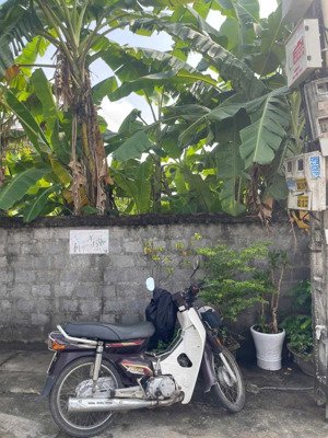 siêu hót tại tổ dân phố bùi phường yên bắc thị xã duy tiên hà nam