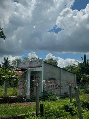 bán đất tại long phước - bến cầu ( giáp cửa khẩu mộc bài), 250 triệu, 1200m2, pháp lý đầy đủ