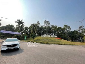 bán biệt thự tại flamingo đại lải