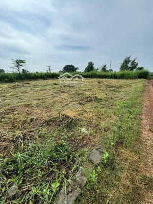 bán đất 6000m2 tại đường 20, trảng bom, đồng nai, giá 6,5 tỷ