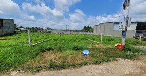 bán gấp đất tại xã bình lợi, bình chánh, hồ chí minh, 720 triệu, 140 m2