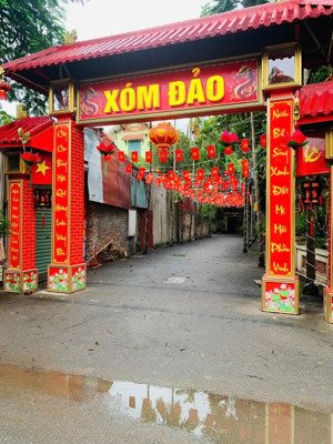 lô đất hiếm - ô tô vào đất - khu dân cư - khu vực phát triển. gần trục tây thăng long - vinhome đp