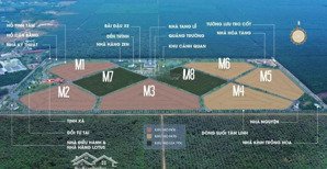 chính chủ cần bán các cặp m6 giá tốt từ 150tr/cặp giá đã gồm chi phí sang tên và phí chăm sóc