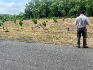 bán gấp lô đất mặt tiền đường dh504