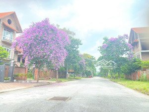 chỉ 12 tỷ lô biệt thự sl vị trí đắc địa kdt quang minh - mê linh hà nội 