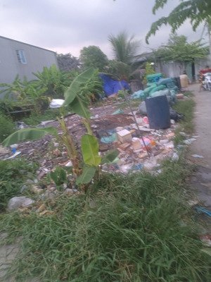 bán đất 260m2, 4,5 tỷ tại tân kiên, bình chánh, hcm hàng hiếm giá tốt