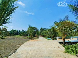 bán gấp 10x60m, 600m2 có 120m2 thổ, đường trưng nhị, trung tâm trảng bàng, sổ riêng