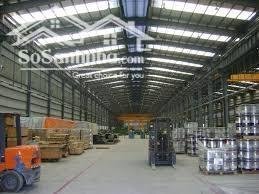 Cho thuê xưởng bầu bàng giá rẻ