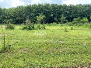 bán 270m2 đất ngay kcn mỹ phước 3; sổ đỏ; đã cắm ranh; hỗ trợ vay; 2,7 tỷ