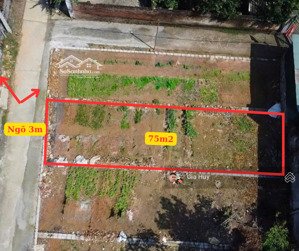 bán đất tại xã tốt động, chương mỹ, hà nội, 2,05 tỷ, 75m2