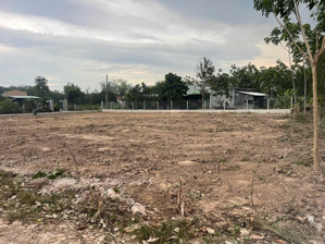 đất gần kcn diện tích 23 dài 43 hơn 1000m2 bán 290 triệu ngay cạnh kcn lớn phủ hồng thổ cư