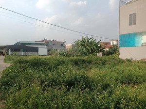 bán đất nền 150m2 tại tỉnh lộ 224, quỳnh khê, quỳnh phụ, thái bình, giá cực chất 770 triệu