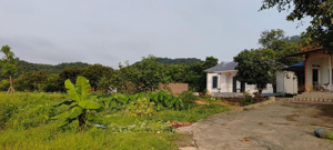 bán mảnh đất siêu đẹp, diện tích 775m2, xung quanh nhiều villa, homestay tại nam sơn, sóc sơn