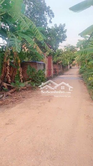 bán đất thống nhất, yên tĩnh, thoáng sáng, 128m2, 4.55 tỷ