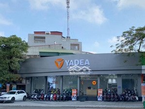 cho thuê mặt bằng kinh doanh phố hoàng cầu rất phù hợp làm showroom,siêu thị,thời trang 300m,mt 30m