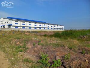 Bán đất xây dựng xưởng 5000m2 KCN Tân Đức, Huyện Đức Hòa, Long An