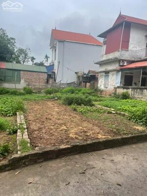 Bán nhanh lô góc siêu đẹp tại Kim Thư, sát thị trấn Kim Bài, DT 49m2, giá đầu tư