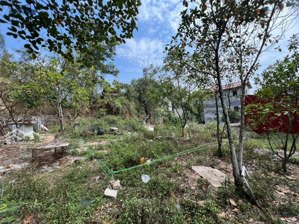 bán đất hoàn sơn, 3,1 tỷ, 280m2, view đẹp, pháp lý đầy đủ. mảnh đất cạnh nhà bác nhạc sĩ dương thụ