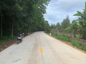 bán đất tại quốc lộ 13, xã trừ văn thố, bàu bàng, bình dương, 790 triệu, 1000 m2