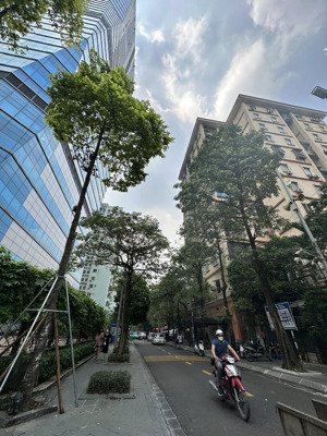 bán shophouse dòng tiền phố lê văn lương, 280m2, 2t, mt 6m, dòng tiền hơn 2 tỷ/năm.