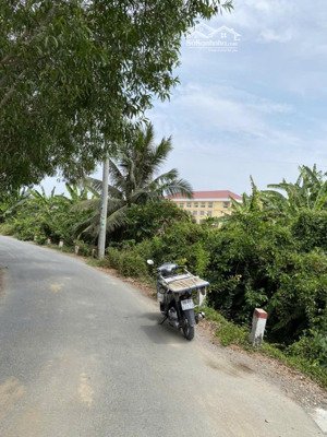 hàng vip siêu hiếm có 2074 đất ở tại trần văn giàu, 45 triệu / m2, 2113.3 m2, bình chánh, hcm